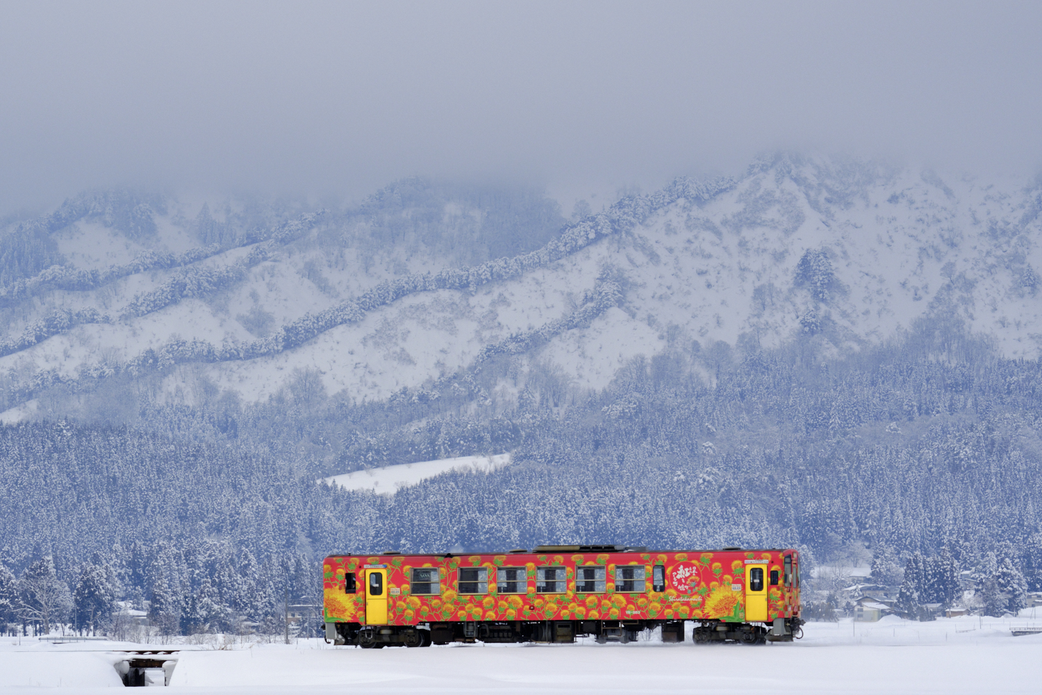 【山形鉄道フラワー長井線存続プロジェクト】鉄道写真家米屋こうじ監修撮影ツアー