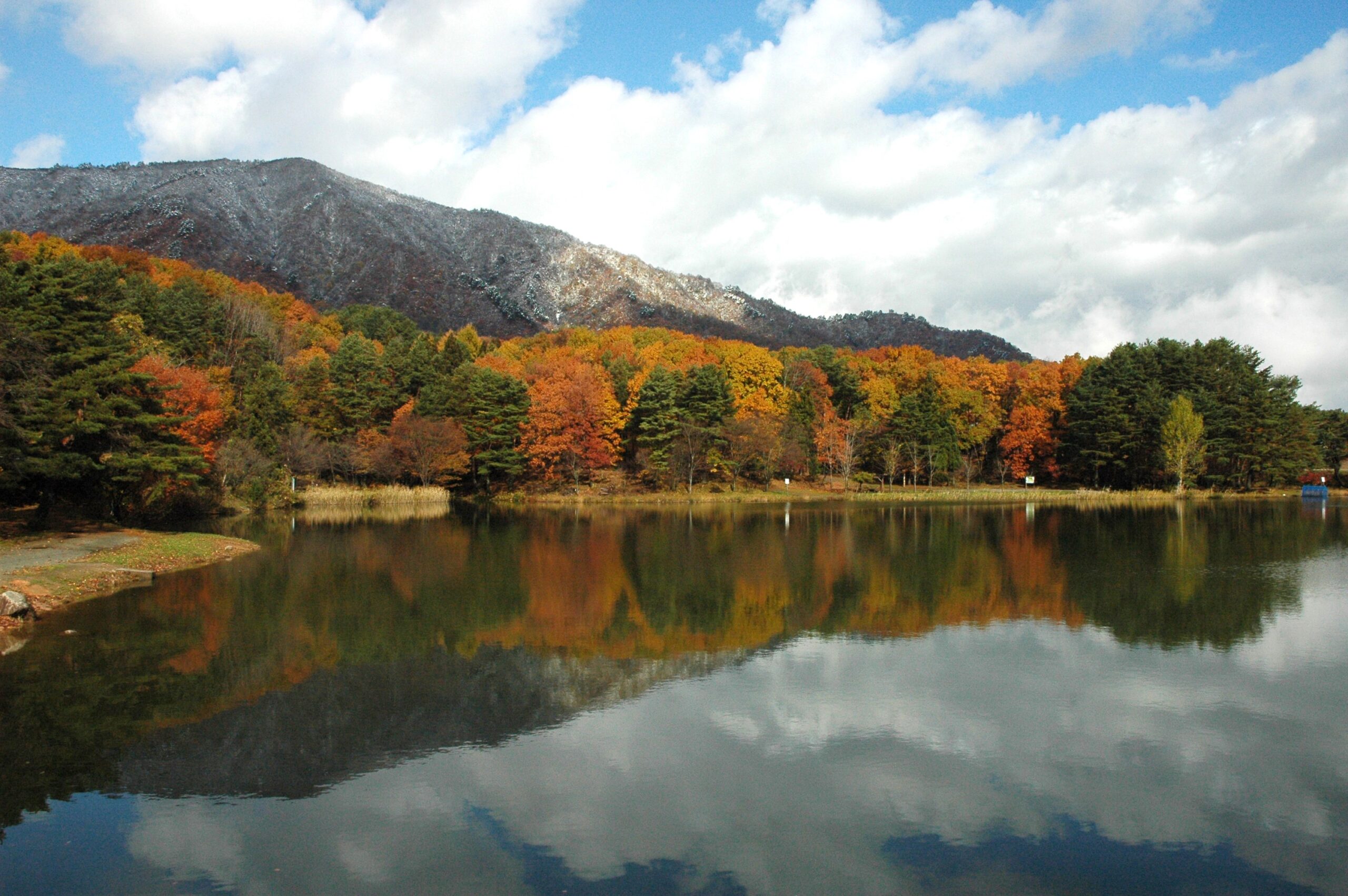 古代の丘縄文村